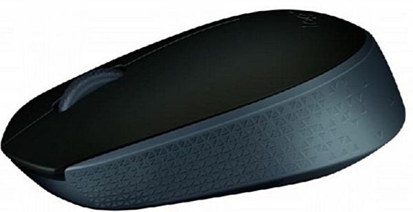 Maus Logitech Mouse M171 Schwarz schnurlos mit USB-Nano-Empfänger, Plug&Play